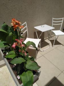 una mesa y dos sillas y una planta en una maceta en Quiet place, en Beʼer Ora