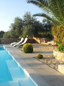 - une piscine avec des chaises blanches et un palmier dans l'établissement Apartments Villa Lora, à Kraj