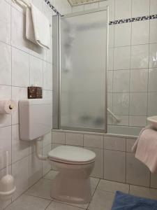y baño con aseo y ducha. en Pension Schmidt, en Podersdorf am See
