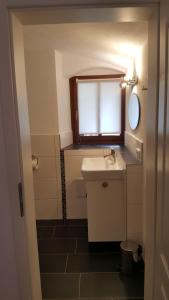 a bathroom with a sink and a mirror at Ferienwohnung-Max-22 in Müglitztal