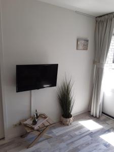 uma sala de estar com uma televisão de ecrã plano na parede em Sunny Residence em Zandvoort