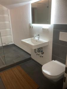 a bathroom with a sink and a toilet and a mirror at Ferienwohnung Allgäuflair in Missen-Wilhams