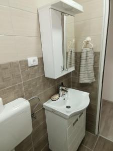 a bathroom with a sink and a toilet and a mirror at Fantastik in Bajina Bašta