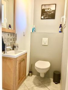 a bathroom with a toilet and a sink at Résidence Alpha Centauri in Carcassonne