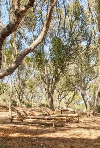 Gallery image of Agroturismo Rafal Rubí in Alaior