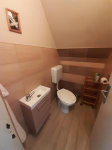 a small bathroom with a toilet and a sink at Pákász Nyaralóház in Tiszafüred