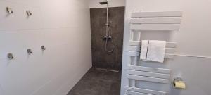 Kúpeľňa v ubytovaní Ferienwohnung Turracherhöhe