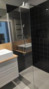 a bathroom with a shower and a sink and a mirror at Apartament Kameleon in Dźwirzyno