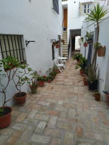 une cour avec des plantes en pot sur le côté d'un bâtiment dans l'établissement La casita, à Vejer de la Frontera