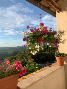 un mazzo di fiori in vasi su un balcone di Fonte alle Ninfe B&B a Castiglione dʼOrcia