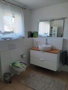 フリードリヒスハーフェンにあるJollen Apartmentsのバスルーム(トイレ、洗面台、鏡付)