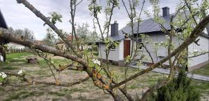 een boomtak met een ketting eromheen bij Apartament - Jurczak in Narol