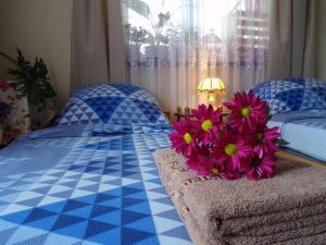 1 dormitorio con 2 camas con flores moradas en el sofá en Agroturystyka u Willima, en Mechnica