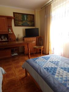 a bedroom with a bed and a desk and a television at Agroturystyka u Willima in Mechnica