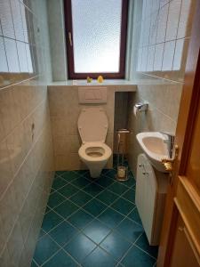 ein Bad mit einem WC und einem Waschbecken in der Unterkunft Appartement IVA in Flattach