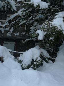 Casa Vittoria v zime