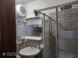 a bathroom with a sink and a shower at Casa Vittoria in Rivisondoli