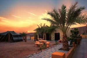 Bait Alaqaba dive center & resort في العقبة: منتجع فيه خيمة و طاولة و نخيل