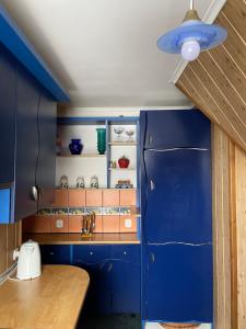 a kitchen with blue cabinets and a blue ceiling at Apartament Krystynka nr 2 in Poronin