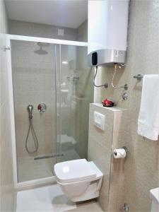une salle de bain avec une douche avec des toilettes et un lavabo dans l'établissement Vila Teodora, à Sveti Stefan 49 autres photos
