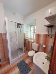 ein Bad mit einer Dusche, einem WC und einem Waschbecken in der Unterkunft Apartments Dabelić in Polače