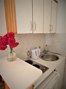 un comptoir de cuisine avec un évier et un vase de roses rouges dans l'établissement Vila Teodora, à Sveti Stefan