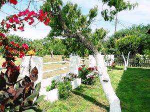 Zahrada ubytování Villa Marietta