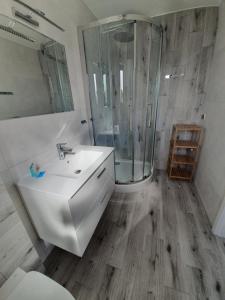 ein Badezimmer mit einem weißen Waschbecken und einer Dusche in der Unterkunft Willa Alexandra in Misdroy