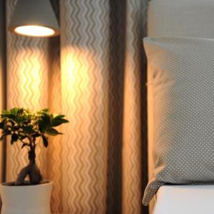 a potted plant sitting on a table next to a lamp at Stamatia Apartments in Asprovalta