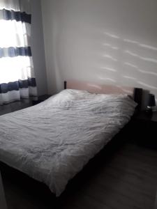 Postel nebo postele na pokoji v ubytování Kawalerka Gorzów