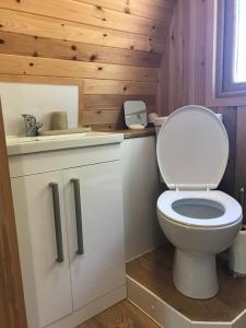 a bathroom with a white toilet and a wooden wall at Cil y Coed Luxury Pod in Machynlleth