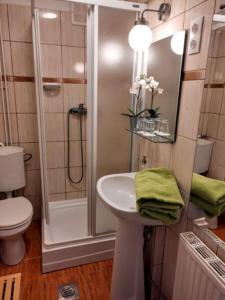 A bathroom at Libis Apartman