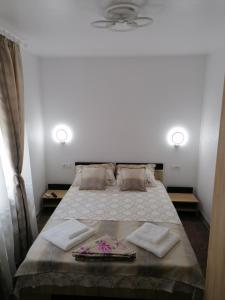 1 dormitorio con 1 cama grande y 2 almohadas en apartament Ștefi en Eforie Sud