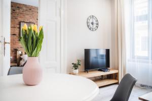 TV a/nebo společenská místnost v ubytování Modern Apartments Toruń 1