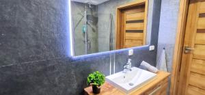 łazienka z umywalką i lustrem w obiekcie Apartamenty Green&Blue w Węgorzewie- GREEN w Węgorzewie