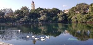 Príroda v okolí apartmánu