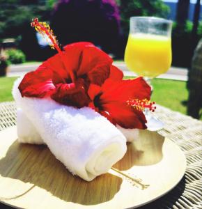 un sombrero de Santa y una flor roja en una mesa con una bebida en Il Complesso Saraceno en Torre delle Stelle