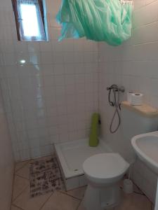 ein Bad mit einem WC und einem Waschbecken in der Unterkunft Faluház Tiszasüly in Tiszasüly
