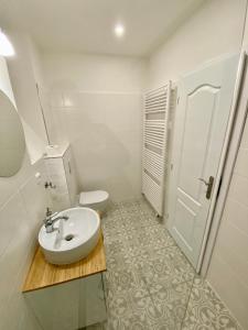 Vannituba majutusasutuses Apartmány V uličce Frymburk