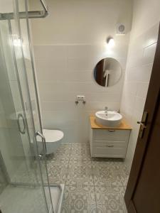 Vannituba majutusasutuses Apartmány V uličce Frymburk