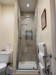 a bathroom with a shower and a toilet at The Star Inn in Ringwood +17 photos