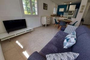 een woonkamer met een blauwe bank en een tv bij Superbe T2 lumineux 3*** 10 mn à pied de la plage in Le Pradet