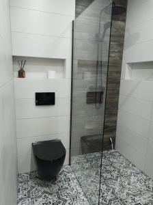 uma casa de banho com um WC preto e um chuveiro em Dom na skraju lasu em Serwy