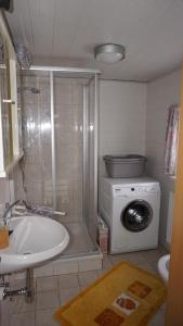 多訥斯巴赫瓦爾德的住宿－Haus Cilli，一间带洗衣机和水槽的浴室
