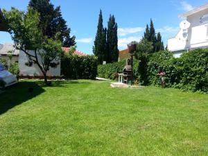 Zahrada ubytování Apartment in Sabunike with Terrace, Air conditioning, Wi-Fi, Washing machine (231-1)
