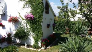 Zahrada ubytování Apartment in Sabunike with Terrace, Air conditioning, Wi-Fi, Washing machine (231-1)