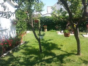 Zahrada ubytování Apartment in Sabunike with Terrace, Air conditioning, Wi-Fi, Washing machine (231-1)