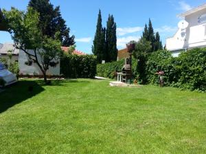 Zahrada ubytování Apartment in Sabunike with Terrace, Air conditioning, Wi-Fi, Washing machine (231-1)