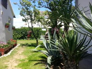 Zahrada ubytování Apartment in Sabunike with Terrace, Air conditioning, Wi-Fi, Washing machine (231-1)