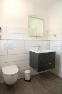 a bathroom with a toilet and a sink and a mirror at Ferienwohnung Evi in Walkenried